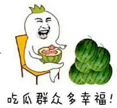 全娱乐都得吃我的瓜